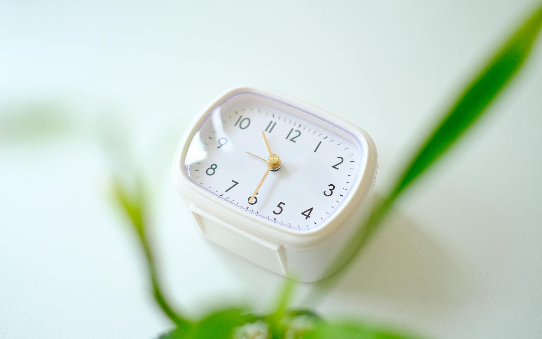 a white clock sitting on top of a plant